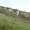 Уникальный вид на Воргольские скалы - Изображение #2, Объявление #209168