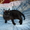 Благородный кот в добрые руки - Изображение #3, Объявление #302368