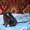 Благородный кот в добрые руки - Изображение #5, Объявление #302368