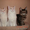 Котята Гиганты породы Мейн Кун, Вязка #793302