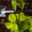 Рабочие в сады на посадку клубники и вишни (вахта) - Изображение #5, Объявление #1705125