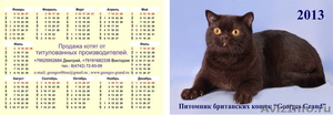 Заказать карманные календарики в Липецке на 2012 год можно у нас срочно - Изображение #5, Объявление #291946