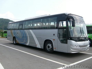 Продаём автобусы Дэу Daewoo  Хундай  Hyundai  Киа  Kia  в наличии Омске. Липецке - Изображение #5, Объявление #848670