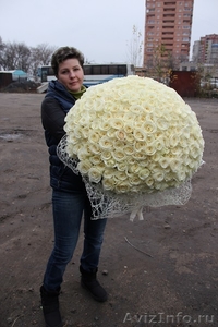 розы в Липецке доставка 101 роза - Изображение #1, Объявление #1007941