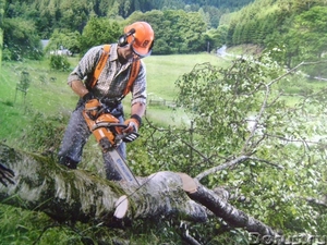 Опил деревьев, покос травы триммером в Липецке. - Изображение #4, Объявление #1544526